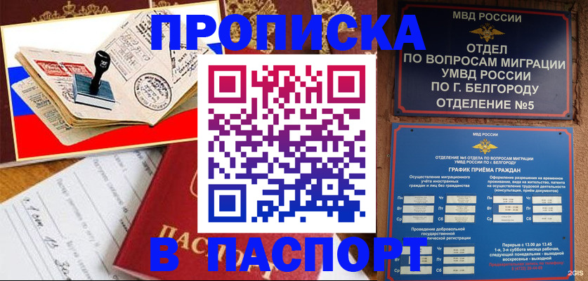 купить прописку в Нелидово